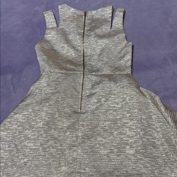 Rare Editions Shimmering Silver Formal Dress - Picture 8 of 14